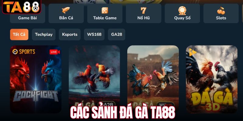 Các sảnh đá gà tại TA88 uy tín