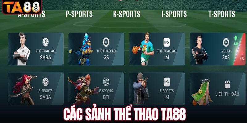 Các sảnh thể thao tại TA88