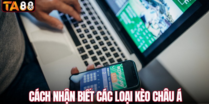 Cách nhận biết các loại kèo châu Á