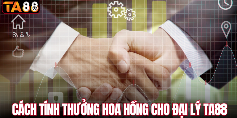 Cách tính thưởng hoa hồng cho đại lý TA88