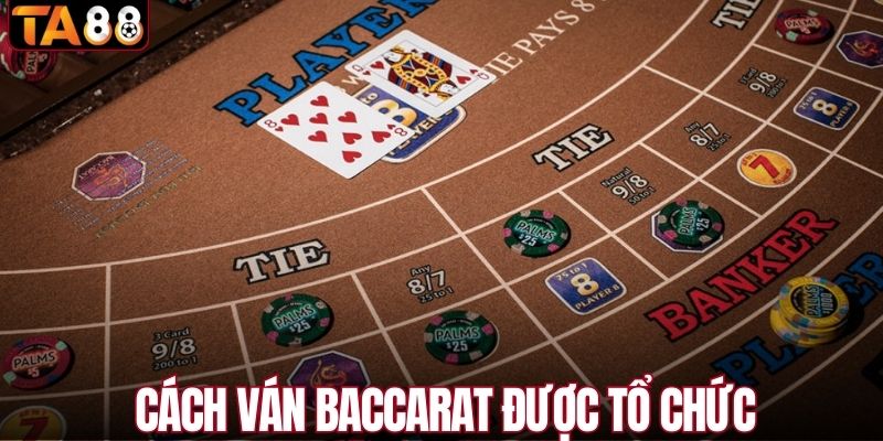 Cách ván baccarat được tổ chức ra sao