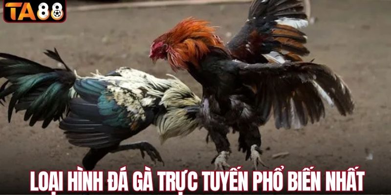 Loại hình đá gà trực tuyến phổ biến số 1