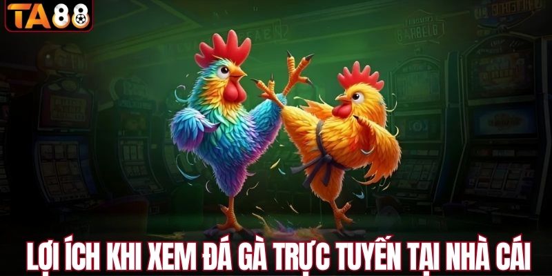 Lợi ích khi xem đá gà trực tuyến tại nhà cái 
