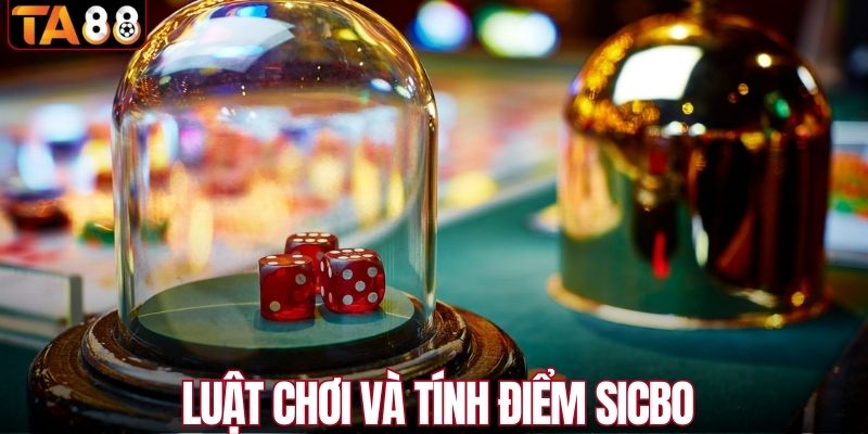 Luật chơi - tính điểm cụ thể