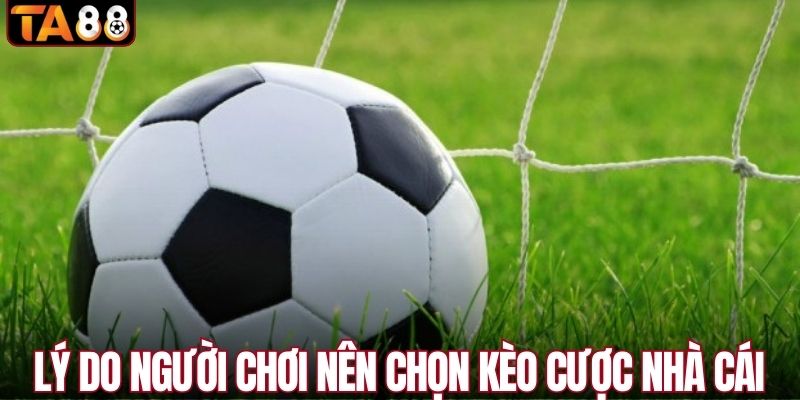 Lý do người chơi nên chọn kèo cược nhà cái
