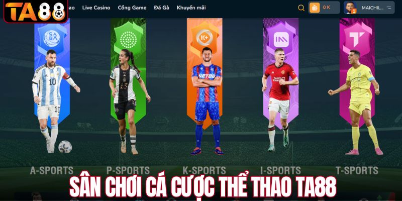 Sân chơi thể thao TA88 đẳng cấp