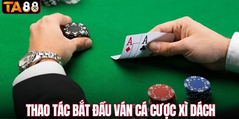 Thao tác bắt đầu ván cá cược xì dách