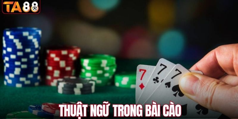 Thuật ngữ chơi bài cào