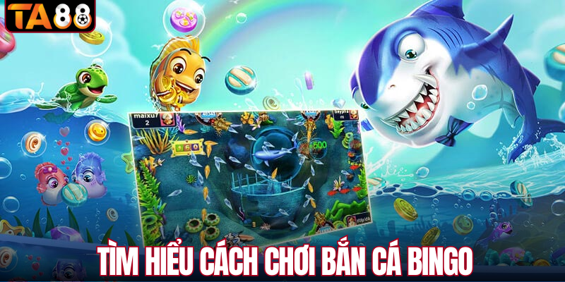 Tìm hiểu cách chơi bắn cá Bingo